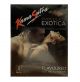 KamaSutra Exotica Chocolate Flavoured and Power Dotted Condoms - 3's Pack