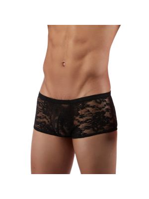 Blow My Whistle: Lace Desire shorts - Black - Free Size